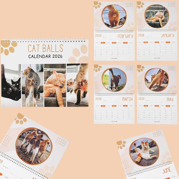 Katterumper 2026 For Katteelskere Morsom Kattekalender A4