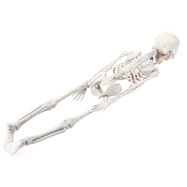 40cm Halloween Tricky Props Horror Skeleton Skeleton Scene Deco