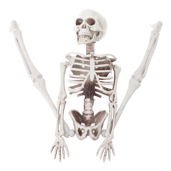 40cm Halloween Tricky Props Horror Skeleton Skeleton Scene Deco