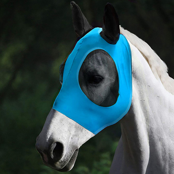 Ratsastus Hengittävä verkkohevosen cover Equestrian Horse Blue
