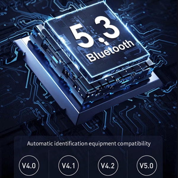 Multipoint Bluetooth 5.3 o Sender Mottaker 3.5mm AUX 2 RCA