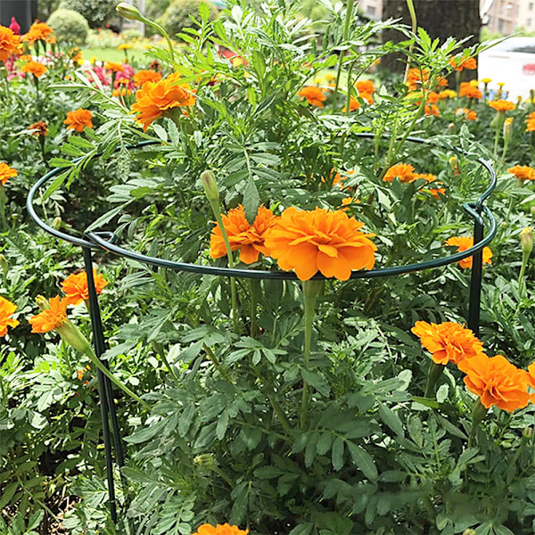Hagesupport Blomsterstativ Gjenbrukbar Hagebeskyttelse Fiks 50CM