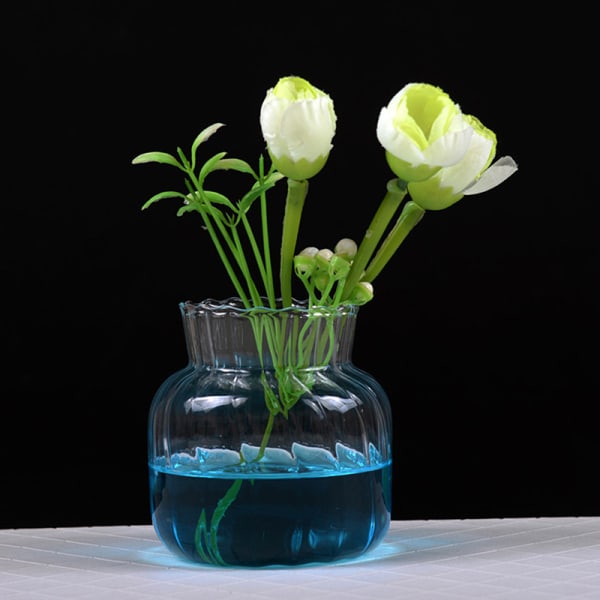 Gjennomsiktige glassvaser til flaskeblomsterpotte Nordic Creative C