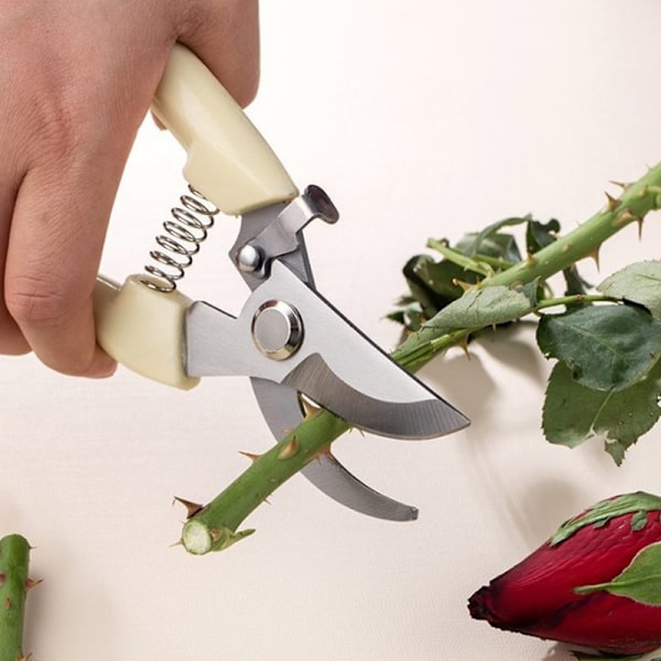 Beskjæring Hagesaks Profesjonell hagetrimmer Orchard Sci Elbow