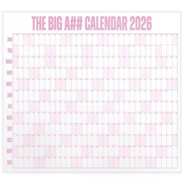 Stor 2026 Kalender Planlægger Ark Tidsplan Planlægger Mål 365 D Pink