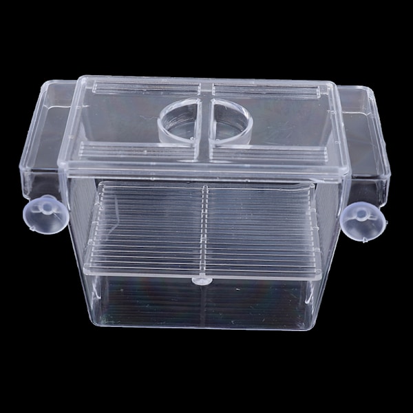 Akvarium Fiskeoppdrett Guppy Dobbel Avl Oppdretter Rearing Felle B