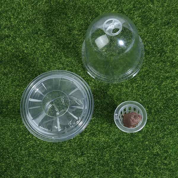 Synlig Klar s Groddkopp Transparent Plast Plantskola Gro 1pcs