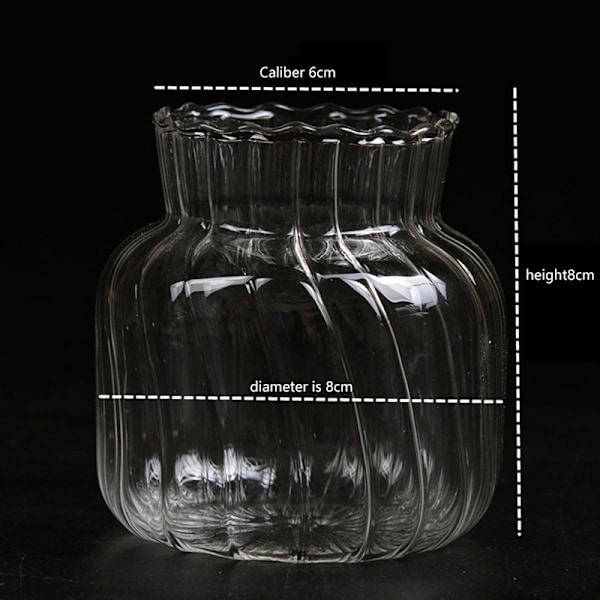 Transparenta glasvaser för flaska blomkruka Nordic Creative D