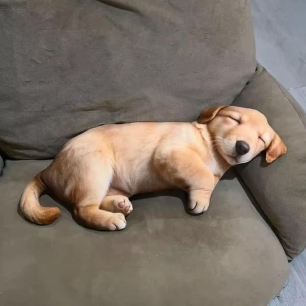 1 stk. realistisk 3D sovende labradorhund plysjpute dyrepute A2