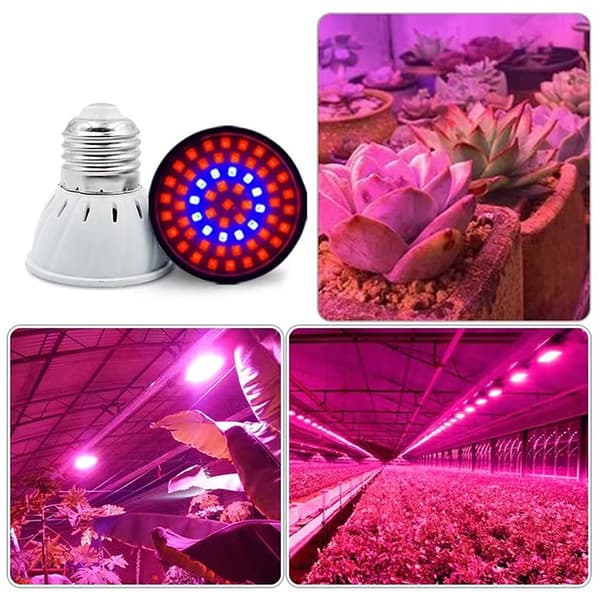 LED Vekstpære E27 220V Fullspektrum 48/60/80LED Lampe A