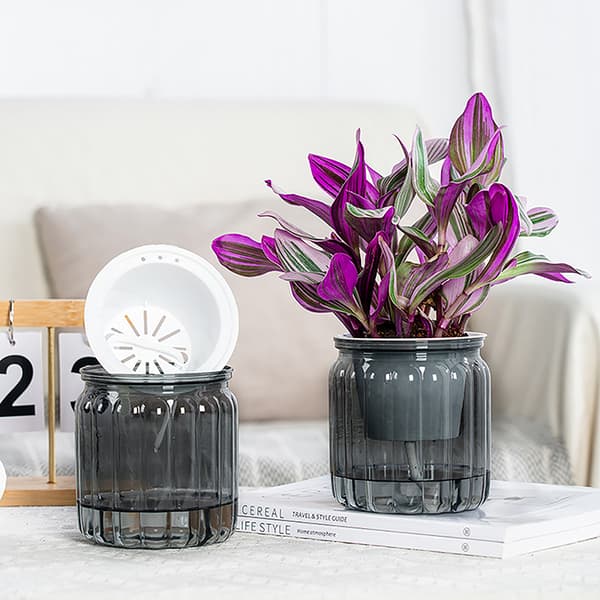 Runde selvvanende blomsterpotter Hydroponics er selvabsorberende W Transparent