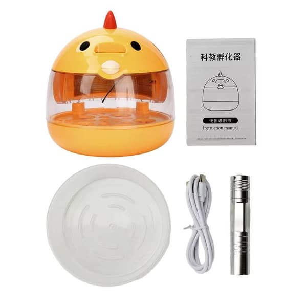 Automatisk Mini Egginkubator Klart Lokk Konstant Temperatur C