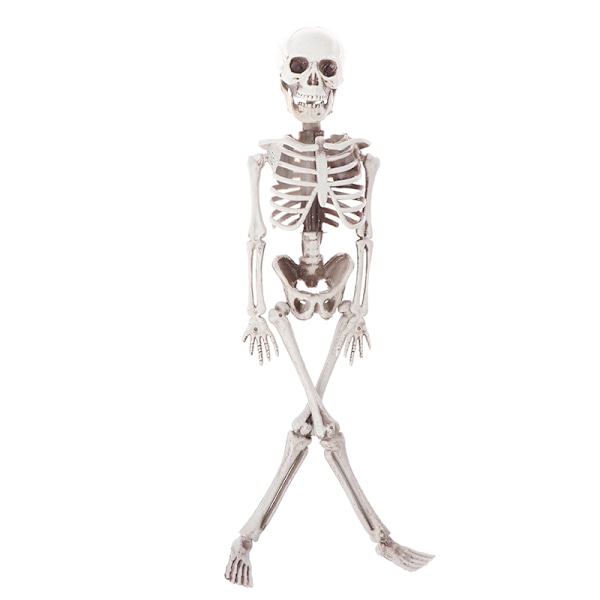 40cm Halloween Tricky Props Horror Skeleton Skeleton Scene Deco