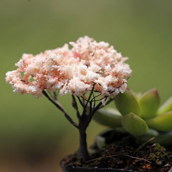 Træer til Miniature Fairy Garden Ornament Dukkehus Pot Figuri Willow