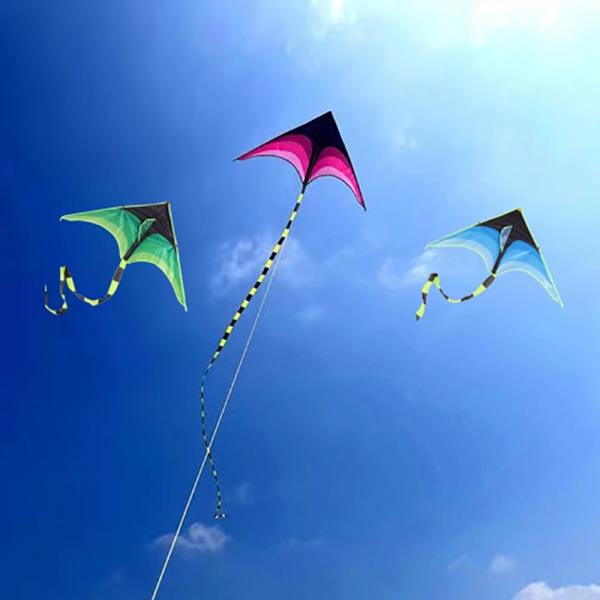 Large Prairie Kites Outdoor Sports Kites Pledd Profesjonell Wi A1