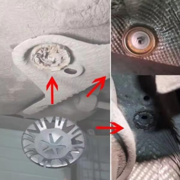 Underrede Avgasvärme Bilsäte Fjäderbricka Fästklämma Mutter I 10pcs