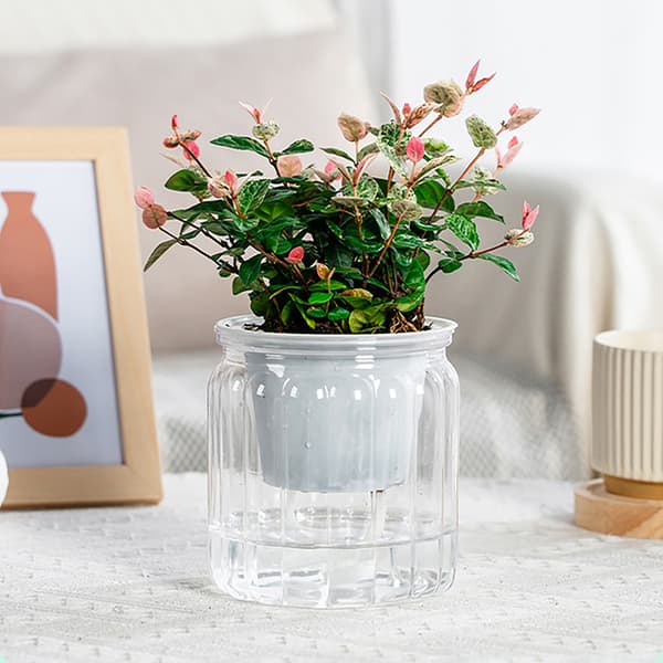 Runde selvvanende blomsterpotter Hydroponics er selvabsorberende W Transparent