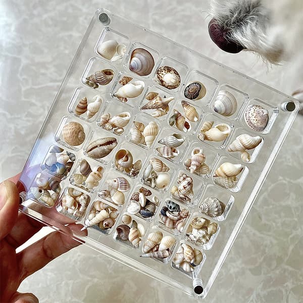 Akryl displayboks småting arrangører 36/64/100 gitter mini hav 36 holes