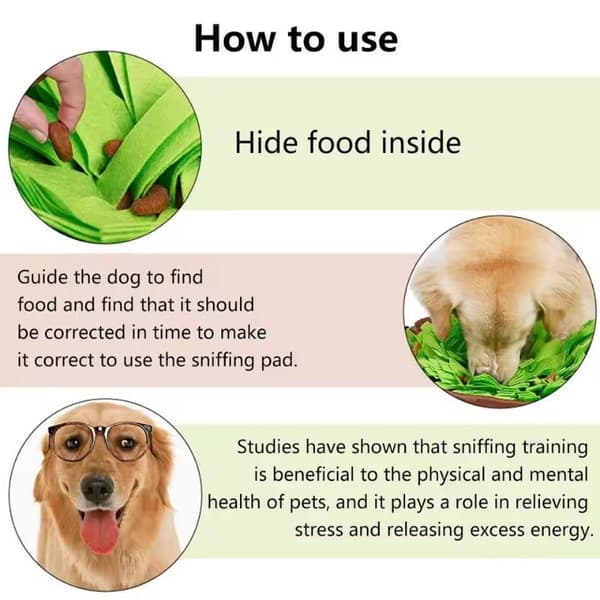Kæledyrs Snusemåtte til Hunde D