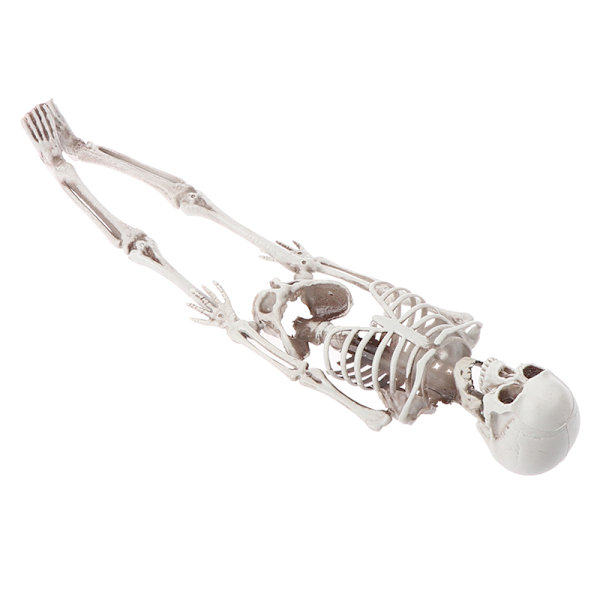 40cm Halloween Tricky Props Horror Skeleton Skeleton Scene Deco
