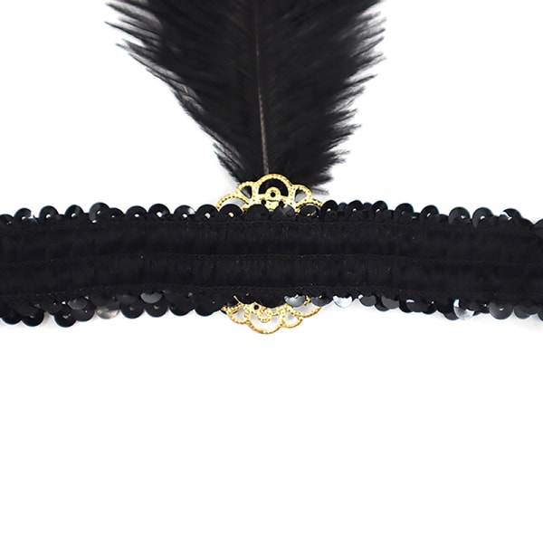 Halloween Black Feather Hårband Brilliant Paljetter Struts Feat Black