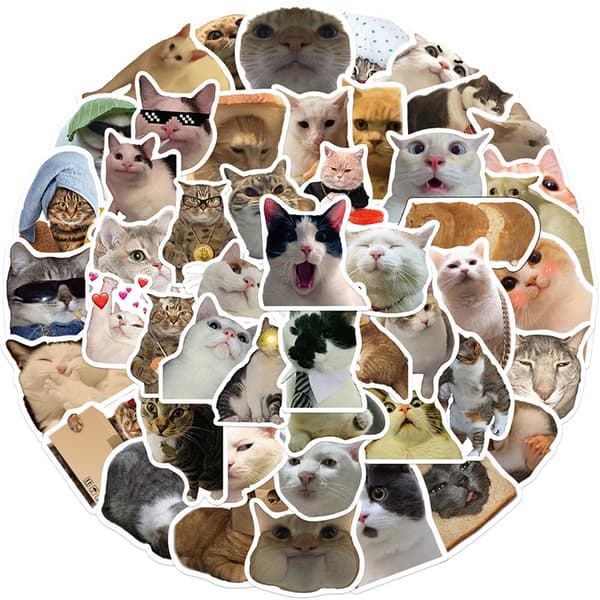 50 stk Cat MEME Animals Stickers Legetøjsgraffiti Decals til børn nr