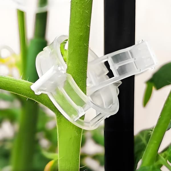 200/300 st utomhusträdgårdsklämmor i plast, återanvändbart vinstöd 300Pcs