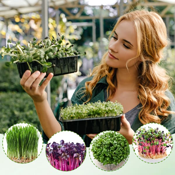 1 rull 10\" X 157\" Microgreen dyrkingsmatte Naturfiber dyrkingsmatter M Multicolor 1
