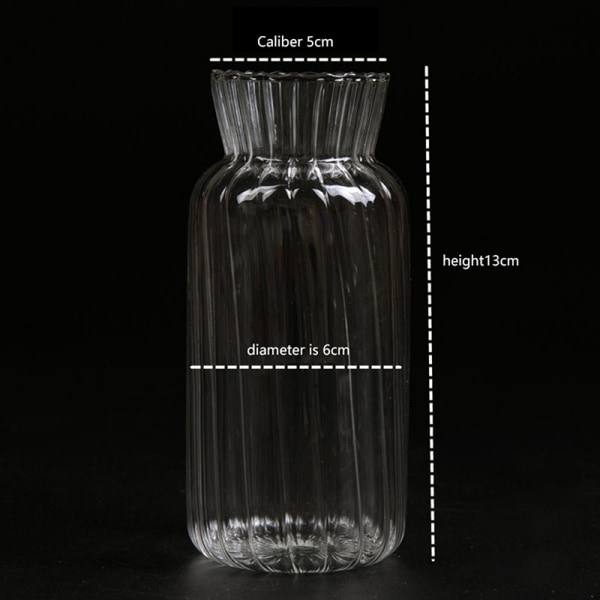 Gjennomsiktige glassvaser til flaskeblomsterpotte Nordic Creative C