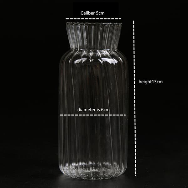 Transparenta glasvaser för flaska blomkruka Nordic Creative C