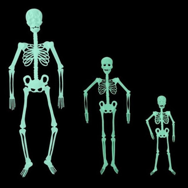 32/90/150cm Poseerattava ihmisluuranko Halloween-koristejuhlat 150cm