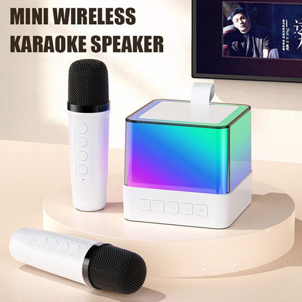 Karaoke-högtalare Dubbelmikrofon Högkvalitativ stereohögtalare White 2PCS