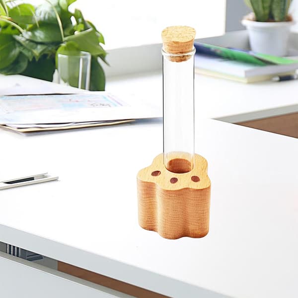 Kattviskburk Mini Glasvas För Morrhår Katts Morrhårshållare A1