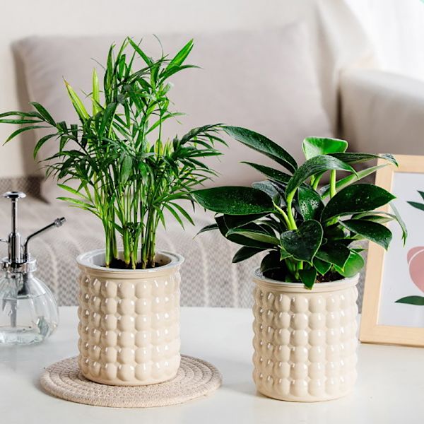 Mini selvvanding blomsterpot i plast Gray