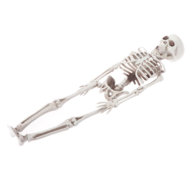 40cm Halloween Tricky Props Horror Skeleton Skeleton Scene Deco