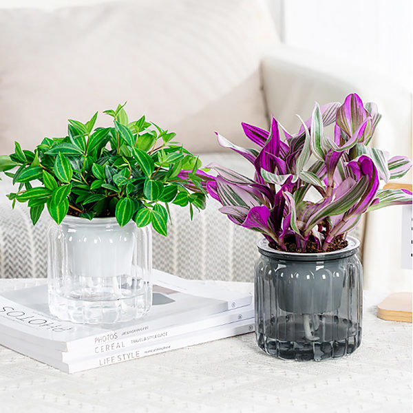 Runda självvattnande blomkrukor Hydroponics er självabsorberande W Gray