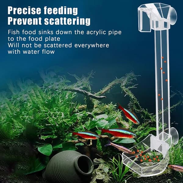 Akvarium Fisk Rekefôringssett B
