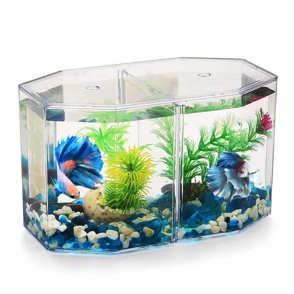 Dobbeltroms kampfiskboks Eco Rumble fiskeakvarium