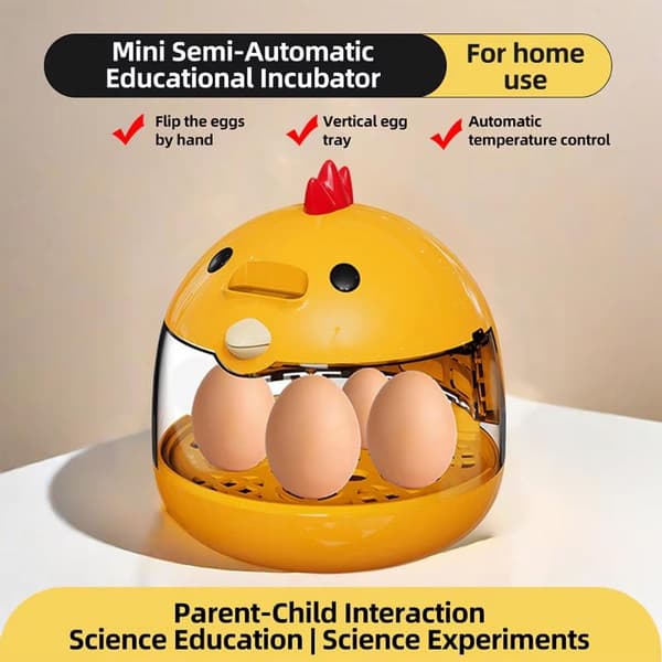 Automatisk Mini Egginkubator Klart Lokk Konstant Temperatur C
