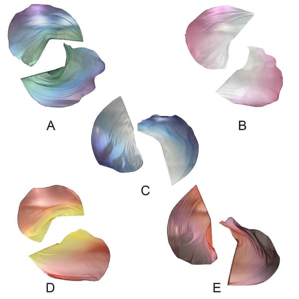 Gradient Dansende Halvsirkel Lovsang Flagg Kirkepris Dans Flagg+Skalerbare Stenger