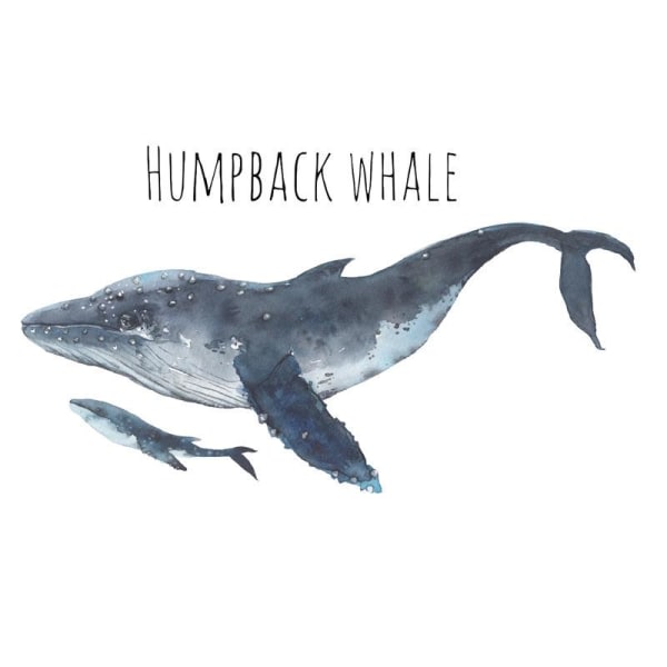 Håndmalet Whale Wall Stickers Decals Dekorativ tapetklæber