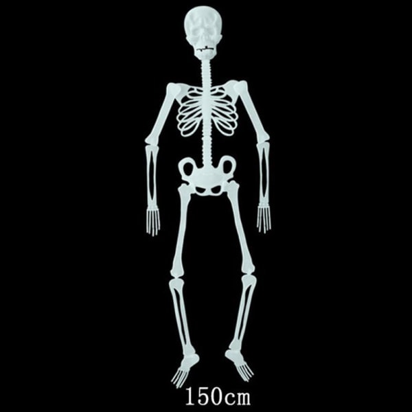 32/90/150 cm Poserbart Menneskelig Skjelett Halloween Dekorasjon Fest A 150cm