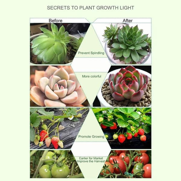LED Vekstlys med Stativ for Planter Svart