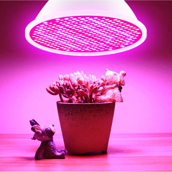 LED-lampe til indendørs planteavl Rød og blå spektrum LED-vækstlamper E14 Hydroponisk planteavlslampe Succulent Flo