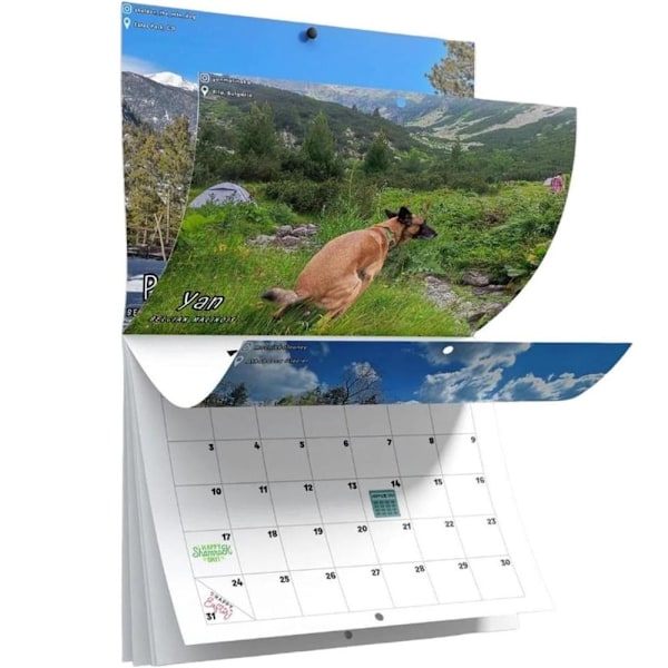 Bajsande Hundar Kalender 2025 Kalender A A