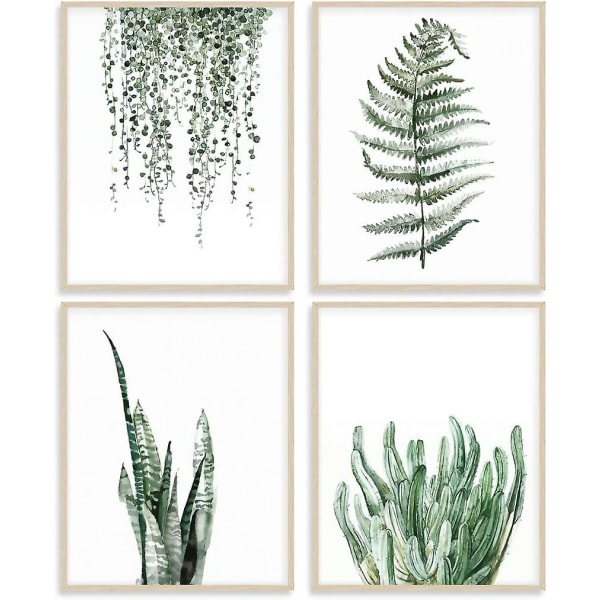 Botaniske trykk, sett med 4, 8x10 uinnrammede trykk, plantemaleri