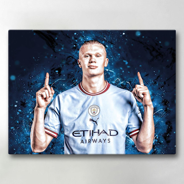 Canvastavle / Tavle - Haaland - 40x30 cm - Canvas