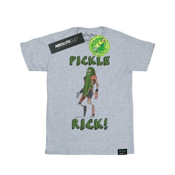 Rick And Morty Pickle Rick T-skjorte for menn XXL Sport Grå XXL