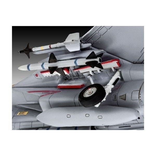 Revell Grumman F-14D Super Tomcat 436