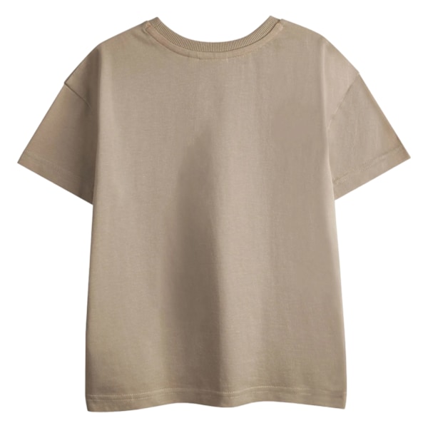 The Gruffalo Pojkar Karaktärer T-shirt Kortärmad (2-pack) Brun Brown 2-3 Years